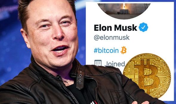 Elon Musk: sou um defensor do Bitcoin