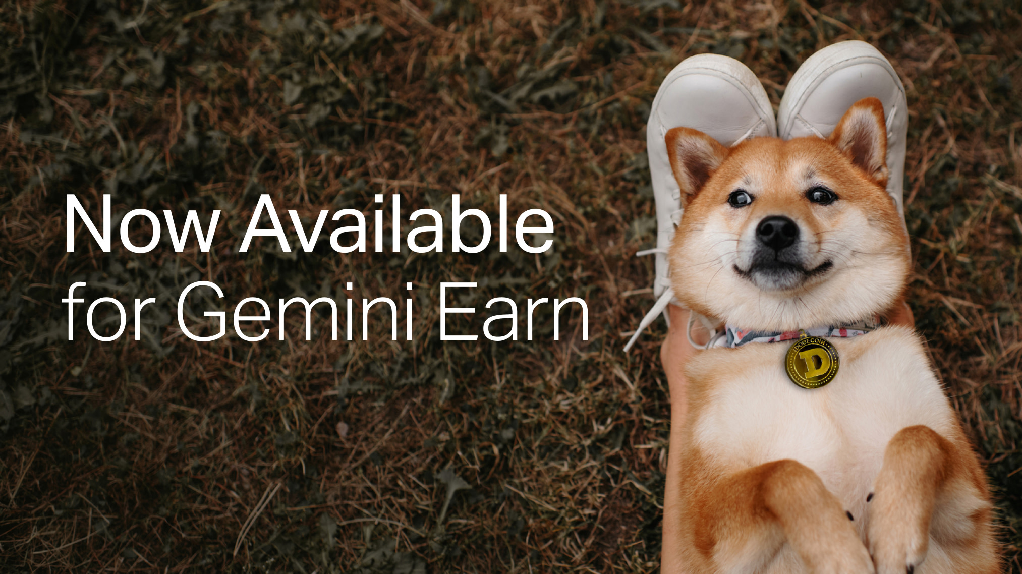 Gemini lança programa de economia em Dogecoin